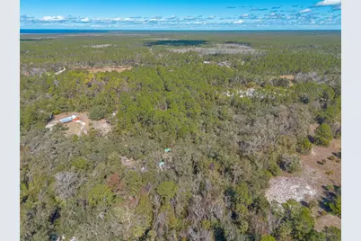 1501 Dillard Road, Astor, FL 32102 - Photo 43