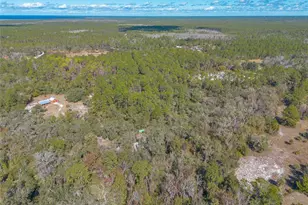 1501 Dillard Rd, Astor, FL 32102 - Photo 43