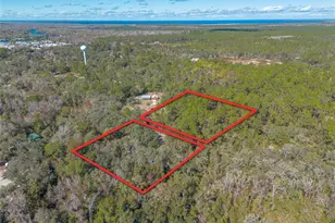 1501 Dillard Rd, Astor, FL 32102 - Photo 45