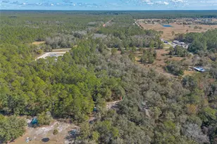 1501 Dillard Rd, Astor, FL 32102 - Photo 37