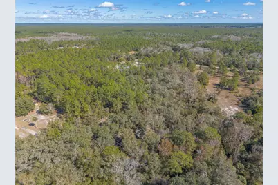 1501 Dillard Road, Astor, FL 32102 - Photo 41