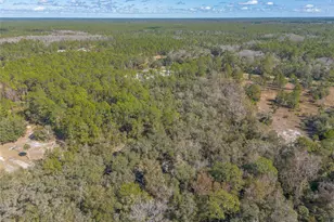 1501 Dillard Rd, Astor, FL 32102 - Photo 41