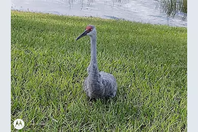 2498 Rusk Court, Deltona, FL 32738 - Photo 71