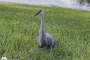 2498 Rusk Ct, Deltona, FL 32738 - Photo 71