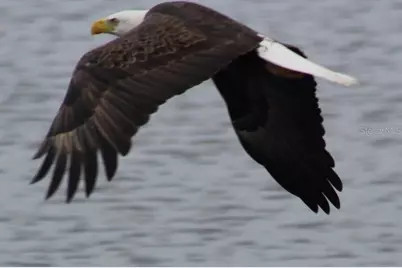 2498 Rusk Court, Deltona, FL 32738 - Photo 79