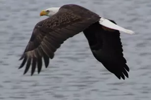 2498 Rusk Ct, Deltona, FL 32738 - Photo 79