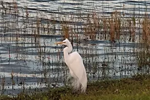 2498 Rusk Ct, Deltona, FL 32738 - Photo 73