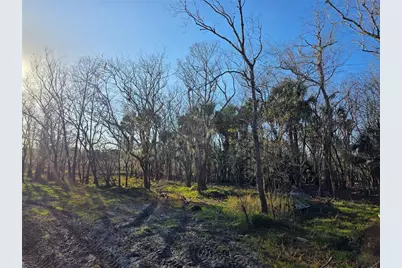 1243 Gee Whiz Drive, Osteen, FL 32764 - Photo 39