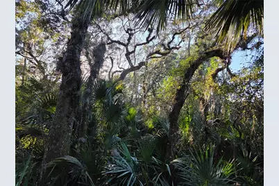 1243 Gee Whiz Drive, Osteen, FL 32764 - Photo 15