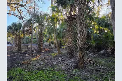 1243 Gee Whiz Drive, Osteen, FL 32764 - Photo 33