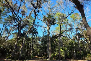 1243 Gee Whiz Dr, Osteen, FL 32764 - Photo 1