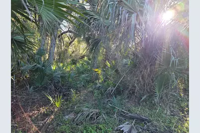 1243 Gee Whiz Drive, Osteen, FL 32764 - Photo 11