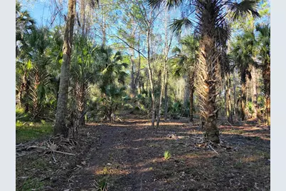 1243 Gee Whiz Drive, Osteen, FL 32764 - Photo 25