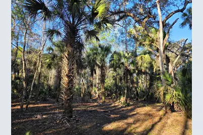 1243 Gee Whiz Drive, Osteen, FL 32764 - Photo 23