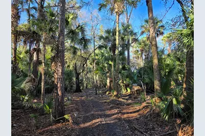 1243 Gee Whiz Drive, Osteen, FL 32764 - Photo 31