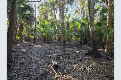 1243 Gee Whiz Drive, Osteen, FL 32764 - Photo 35