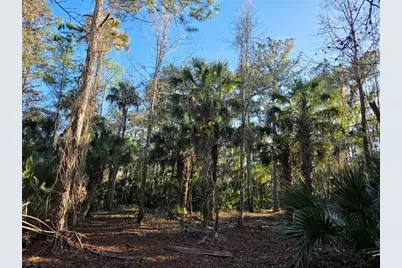 1243 Gee Whiz Drive, Osteen, FL 32764 - Photo 21