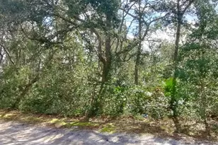 28515 Poinsettia Ave, Paisley, FL 32767 - Photo 25