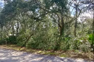 28515 Poinsettia Ave, Paisley, FL 32767 - Photo 27