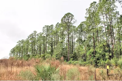 849 Ashby Way, Osteen, FL 32764 - Photo 5