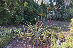 324 Alemander Ave, Debary, FL 32713 - Photo 39