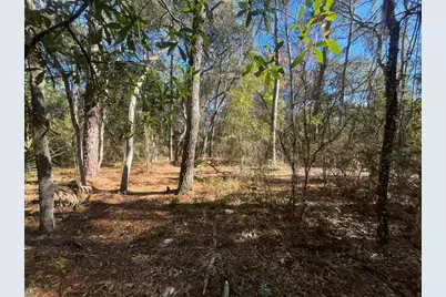 Lake Margaret Blvd, Pomona Park, FL 32181 - Photo 3