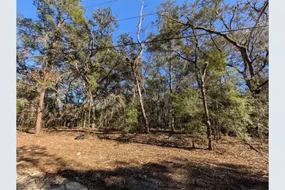 Lake Margaret Blvd, Pomona Park, FL 32181 - Photo 5