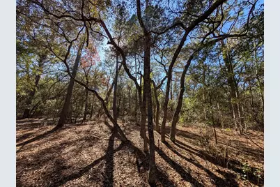 Lake Margaret Blvd, Pomona Park, FL 32181 - Photo 13