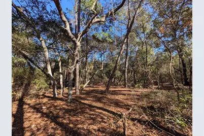 Lake Margaret Blvd, Pomona Park, FL 32181 - Photo 9