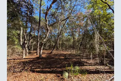 Lake Margaret Blvd, Pomona Park, FL 32181 - Photo 7