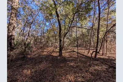 Lake Margaret Blvd, Pomona Park, FL 32181 - Photo 11