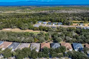 3143 Kailani Ct, Ormond Beach, FL 32174 - Photo 53