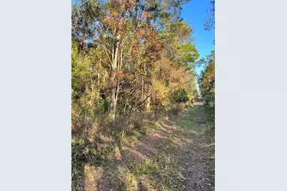 University Highlands/ Deland Crossings, Deland, FL 32724 - Photo 3