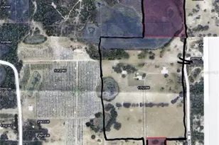 42554 Maggie Jones Rd, Paisley, FL 32767 - Photo 3