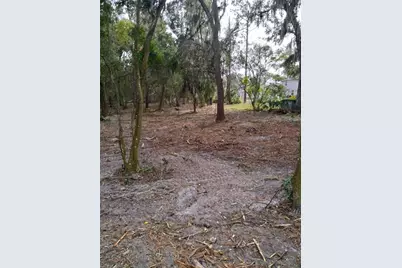 2nd Street, Deland, FL 32720 - Photo 5