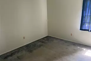 330 Bonnie Ln, Orange City, FL 32763 - Photo 13