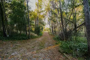 1325 S Spring Garden Ave, Deland, FL 32720 - Photo 37