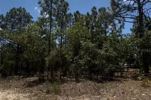 6818 N Waycross Way, Citrus Springs, FL 34433 - Photo 1