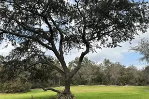 2598 Enterprise Osteen Rd, Osteen, FL 32764 - Photo 21