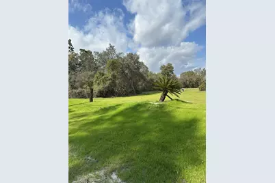 2598 Enterprise Osteen Road, Osteen, FL 32764 - Photo 5