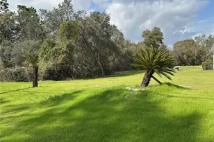 2598 Enterprise Osteen Rd, Osteen, FL 32764 - Photo 5