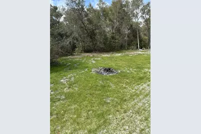[Address not provided], Osteen, FL 32764 - Photo 11
