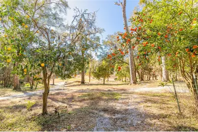 2095 Stone Road, Deland, FL 32720 - Photo 3