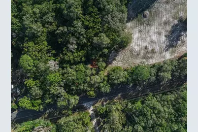 589 S Volusia Avenue, Pierson, FL 32180 - Photo 5