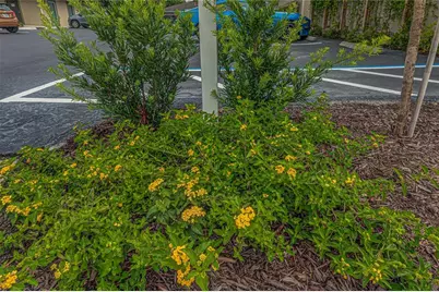 125 W Plymouth Ave, Ste. 121 Road #121, Deland, FL 32720 - Photo 3