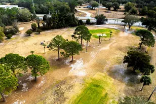 232 Meadow Lark Dr, Osteen, FL 32764 - Photo 47