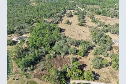 Reynolds Road, De Leon Springs, FL 32130 - Photo 11