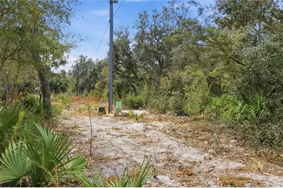 40707 Lois Street, Eustis, FL 32736 - Photo 11