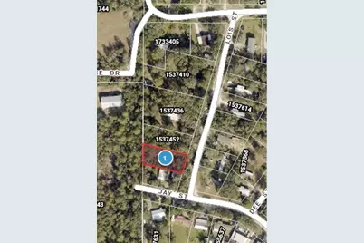 Lois Street, Eustis, FL 32736 - Photo 3