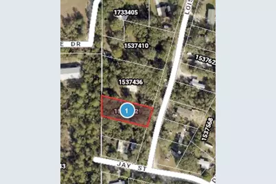 Lois Street, Eustis, FL 32736 - Photo 3